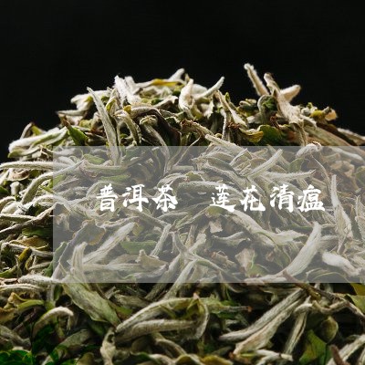 普洱茶 莲花清瘟/2023041051837